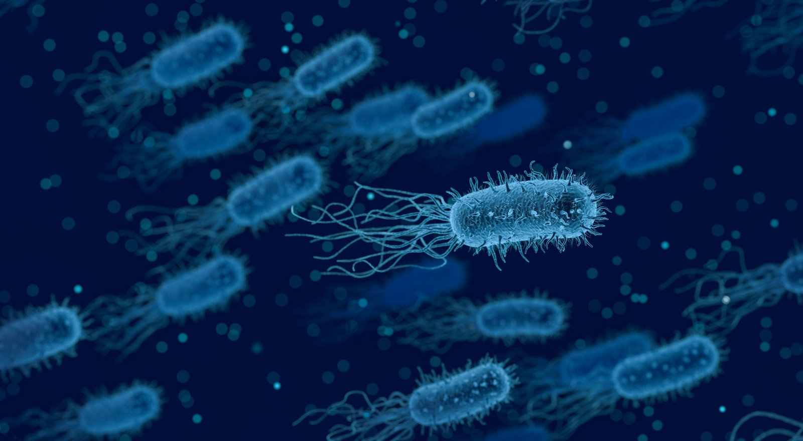 Bactria som symbol på seksuelt overførte kønssygdomme